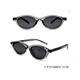 sunglasses CP latest cat eye Focuseyewear